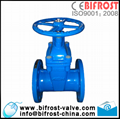 BS5163 Non-rising Resilient Seated Gate Valve