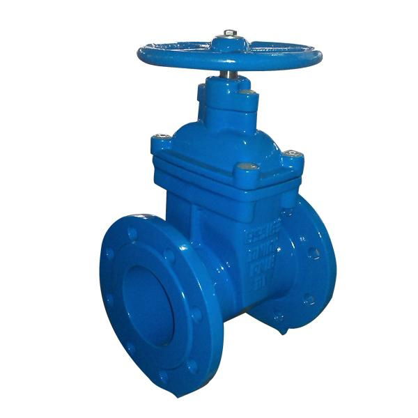 BS5163 Non-rising Resilient Seated Gate Valve 3
