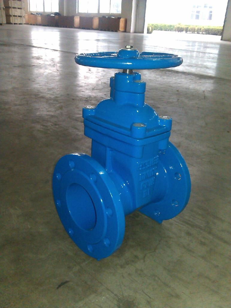 BS5163 Non-rising Resilient Seated Gate Valve 4