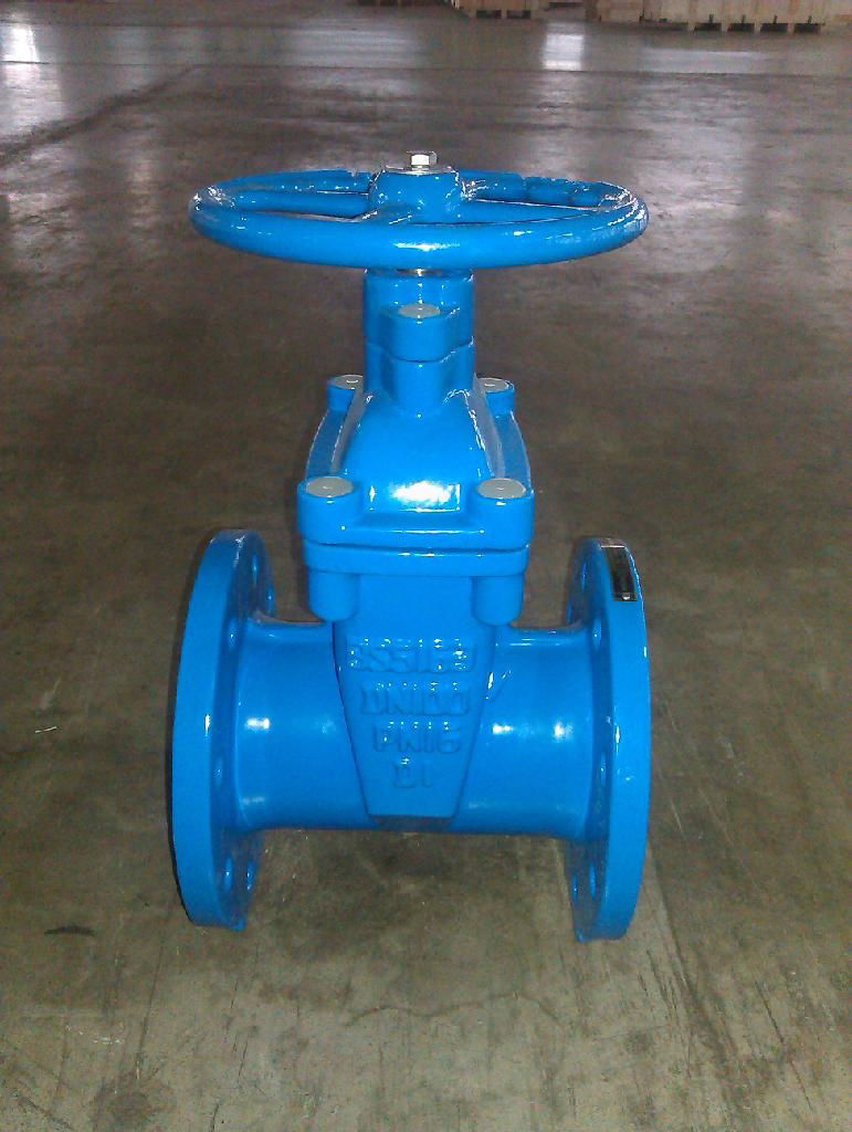 BS5163 Non-rising Resilient Seated Gate Valve 5