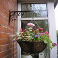 hanging basket 1