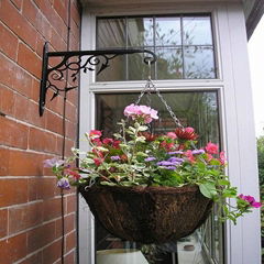 hanging basket