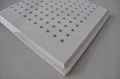 Perforated Gypsum board