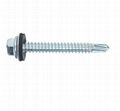 bugle head drywall screws for gypsum system 5