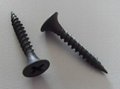 bugle head drywall screws for gypsum system