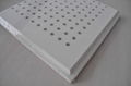 Perforated Gypsum Ceiling Tile 