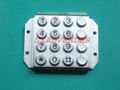 Outdoor  Dust Proof Public Self-Service Stainless Steel Keypad 