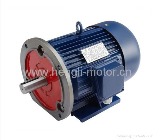 Y series three phase electric motor 4