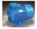 Y2 series cast iron high eff three phase electric motor