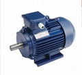 Y2 series cast iron high eff three phase electric motor 2