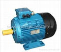 MS series cast alu high eff three phase electric motor