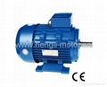 MS series cast alu high eff three phase electric motor 3