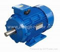 MS series cast alu high eff three phase electric motor 4