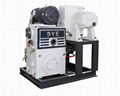 Roots Pump with Double Stage Rotary Piston Pump Vacuum System 1