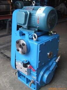 High Efficiency Rotary Plunger Vacuum Pump with Competitive Price