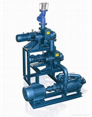 Roots Air Ejector Water Ring System for