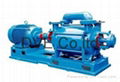 Liquid Ring Pump for Chemical Industry