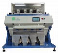 5000*3 Pixel, 3CCD Tea Color Sorter