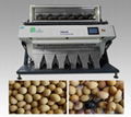 5000*3 Pixel 3CCD Coffee Bean Color Sorter    3