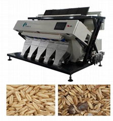 5000*3 Pixel, 3CCD Wheat Color Sorter  