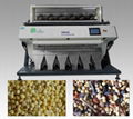 5000*3 Pixel 3CCD Color Sorter for Beans Grain Seeds Nuts 1