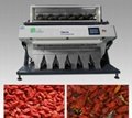5000*3 Pixel 3CCD Color Sorter for Beans Grain Seeds Nuts 3