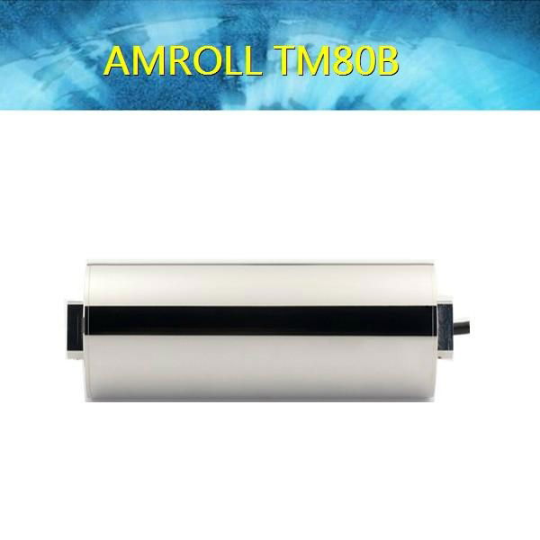 TM80B drum motor(plastic gear) for belt conveyors 2