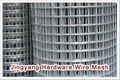 Welded Wire Mesh