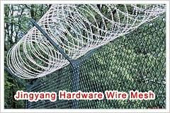 Razor Barbed Wire 5