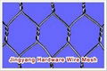 Hexagonal wire mesh