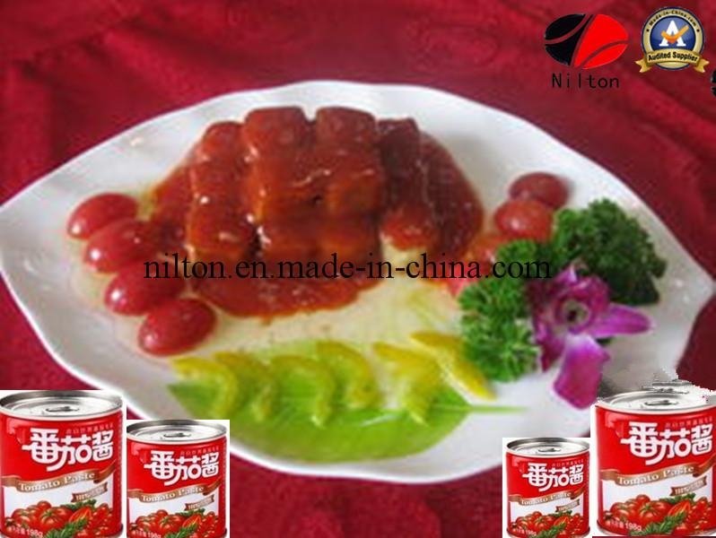 Chinese Delicious Tomato Paste Ketchup in Low Price