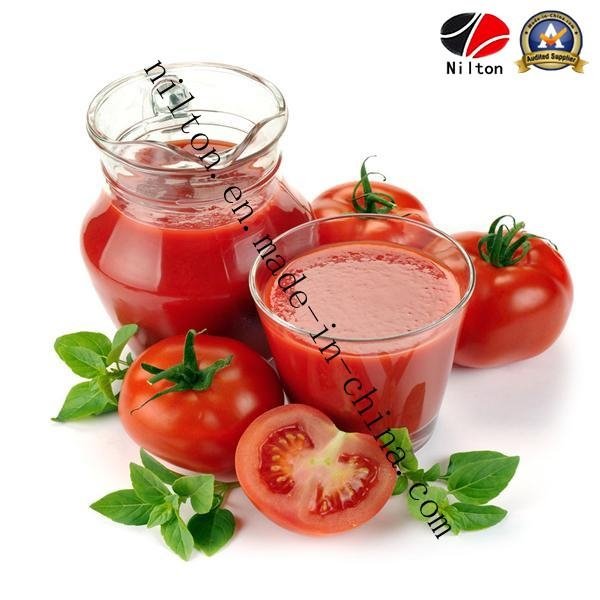 Chinese Delicious Tomato Paste Ketchup in Low Price 2