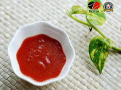 High Outputs Delicious Nilton Tomato Paste Ketchup