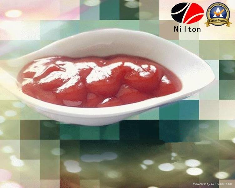 High Outputs Delicious Nilton Tomato Paste Ketchup 3