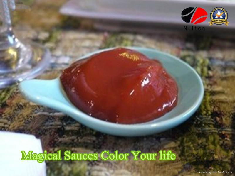 Bright Bright Red Tomato Ketchup - Nilton Sauces