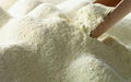 Fat filled milk powder 1