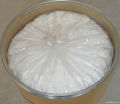 nitrocellulose 1