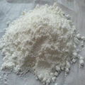 nitrocellulose 1