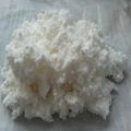 nitrocellulose 2