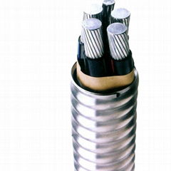 Aluminum alloy power cable