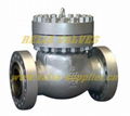 Swing check valve