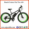 PE-TDE12Z  FAT TIRE Electric bicycle