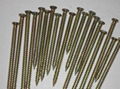 Screw Nails - fastener for Hardwoods and