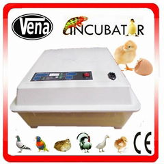  China Vena digital mini egg incubator48egg mini incubator VA-48 for sale