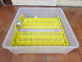  China Vena digital mini egg incubator48egg mini incubator VA-48 for sale 2