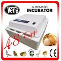 CE certification full automatic egg