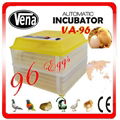 Computer control incubator humidity temperature VA-96 parrot eggs for sale      