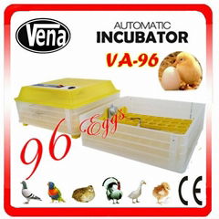 Energy-saving battery mini incubator solar chicken egg incubator for sale