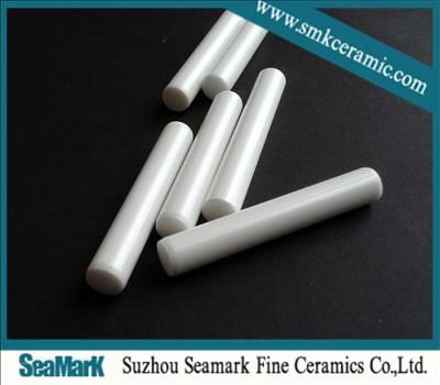 zirconia pump ceramic rod 2