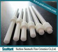 zirconia pump ceramic rod